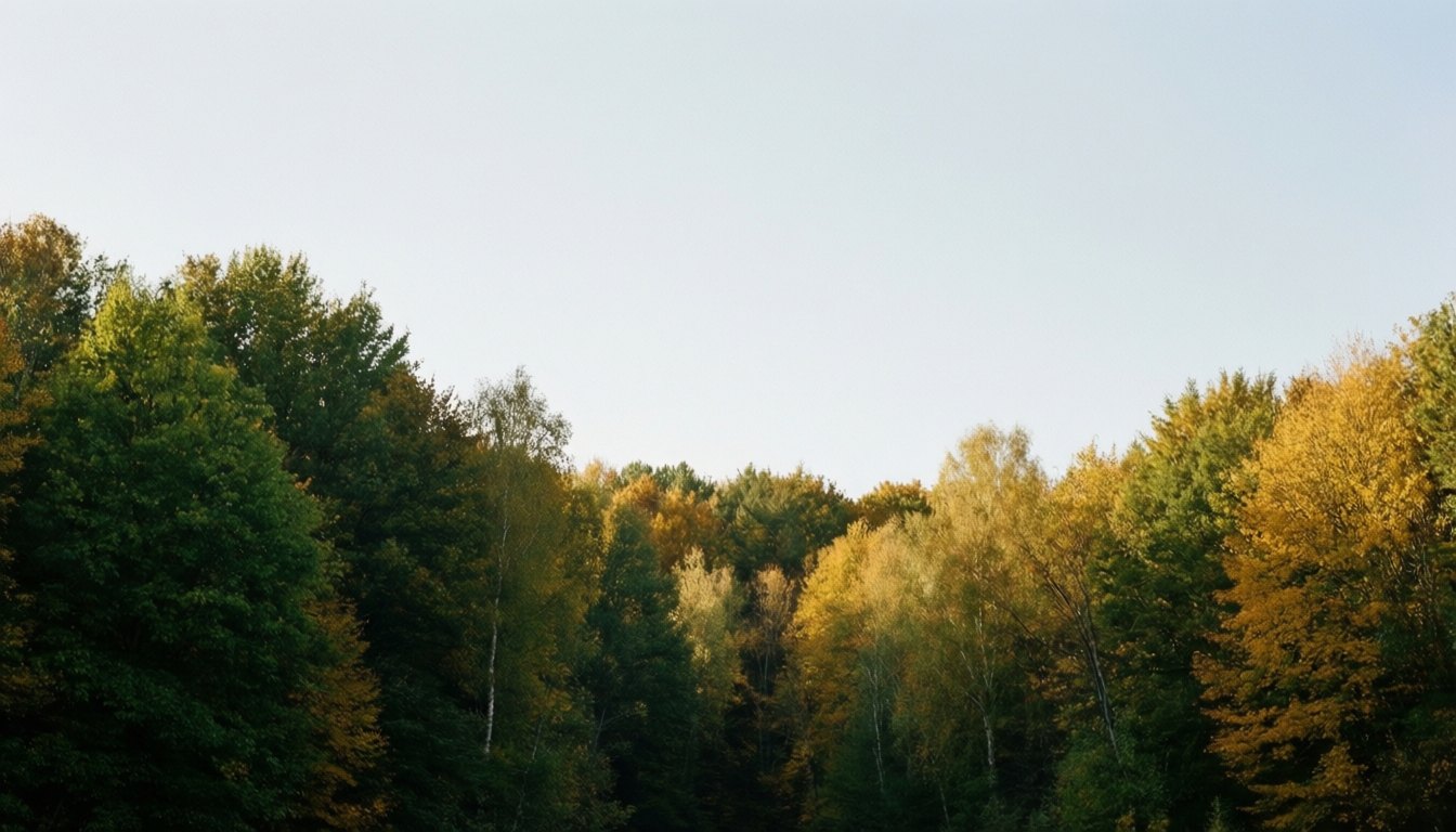 2 September