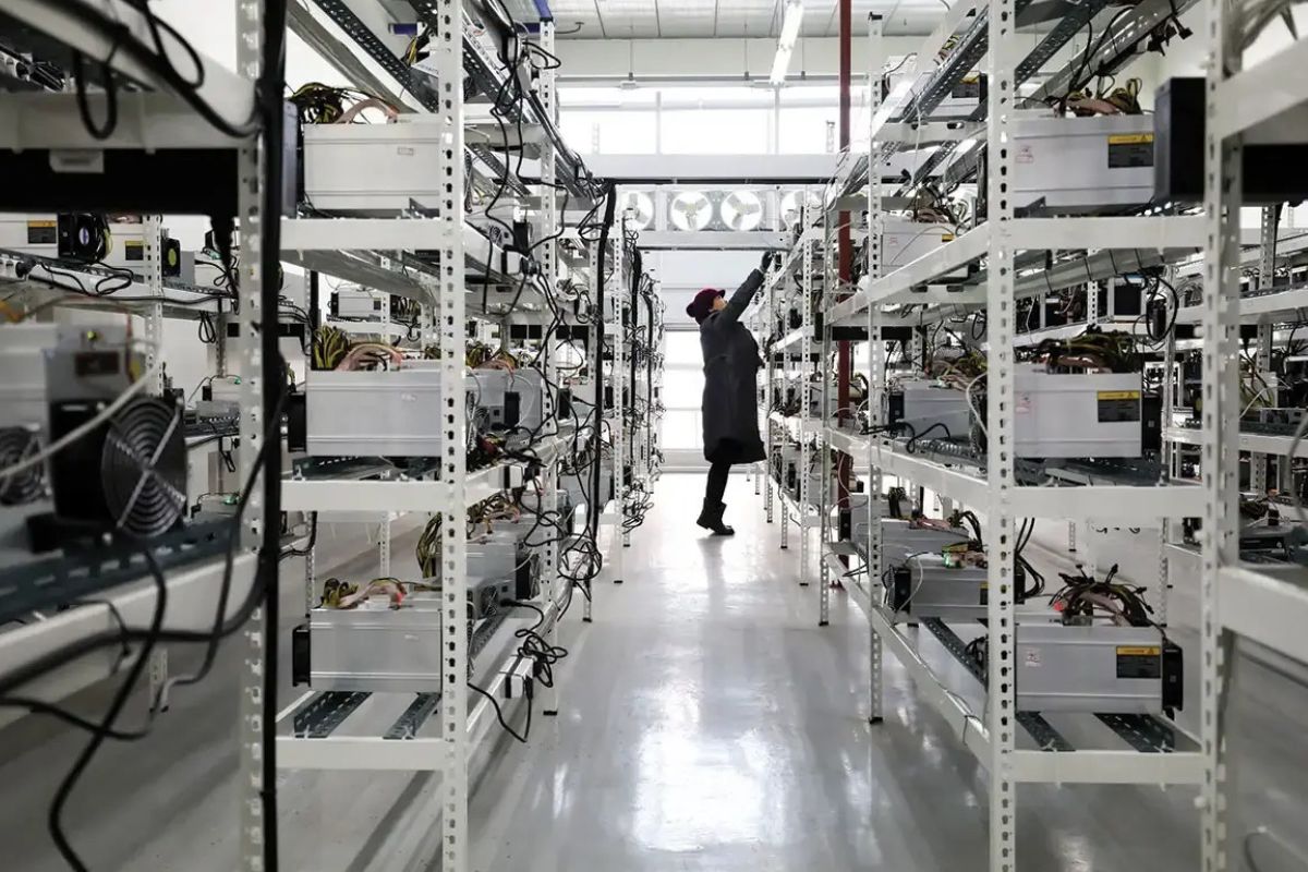 25 Fakta Tentang Cryptocurrency