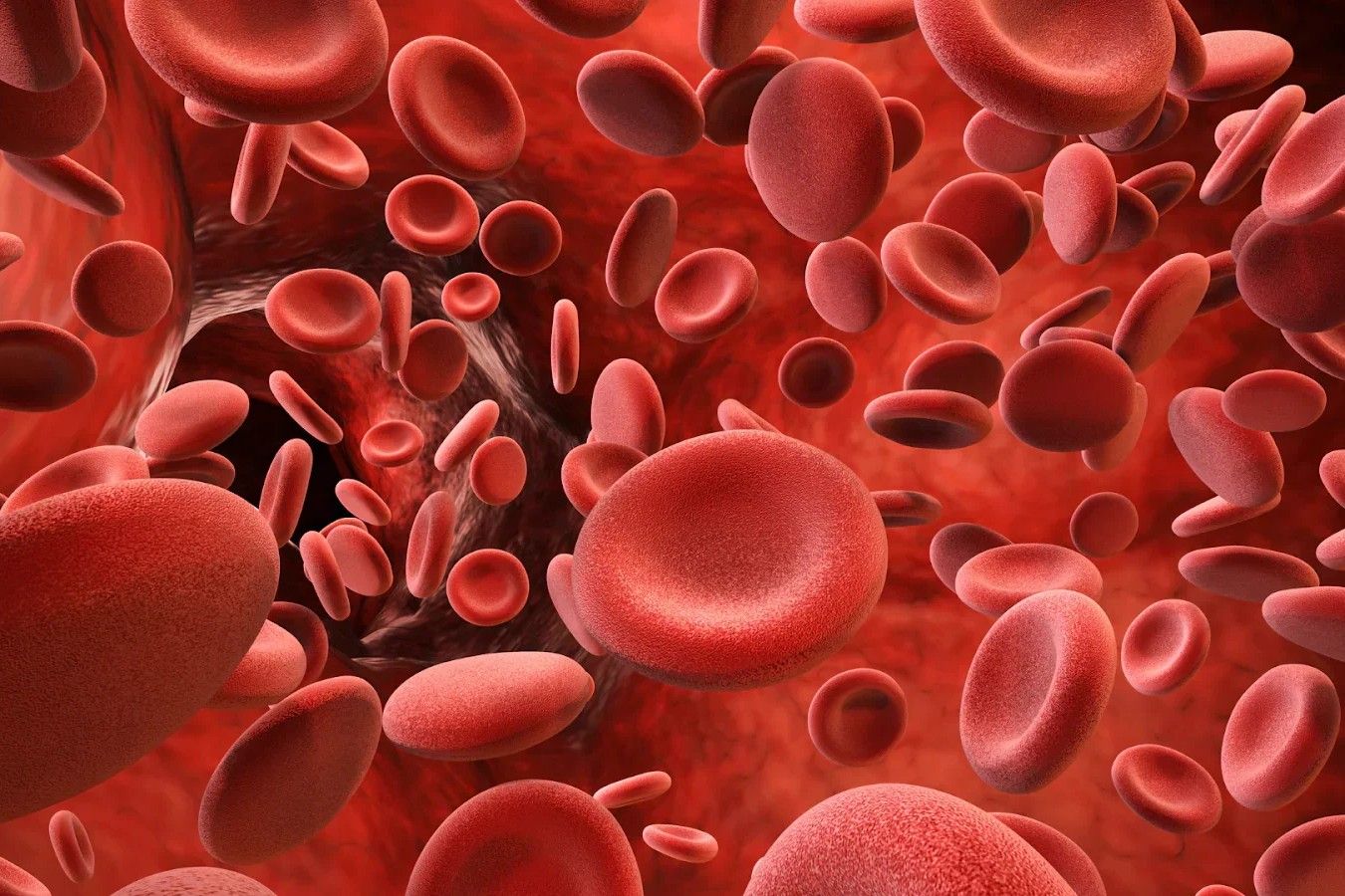 29 Fakta Tentang Hemoglobin