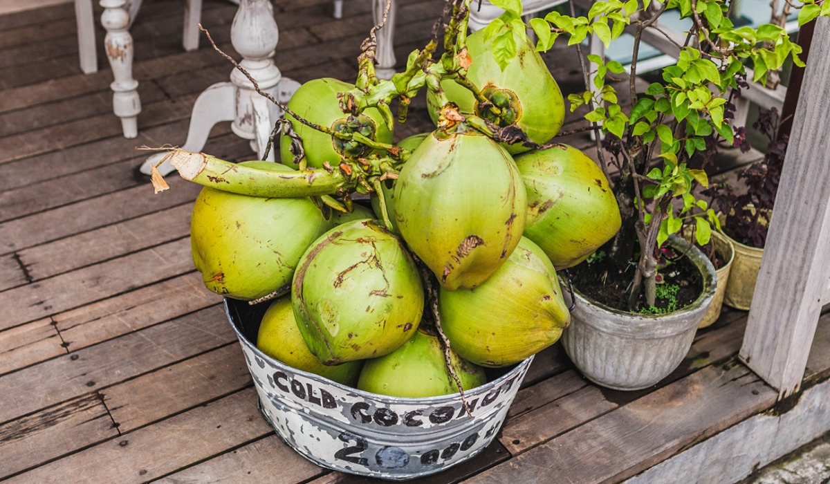 31 Fakta Tentang Kelapa