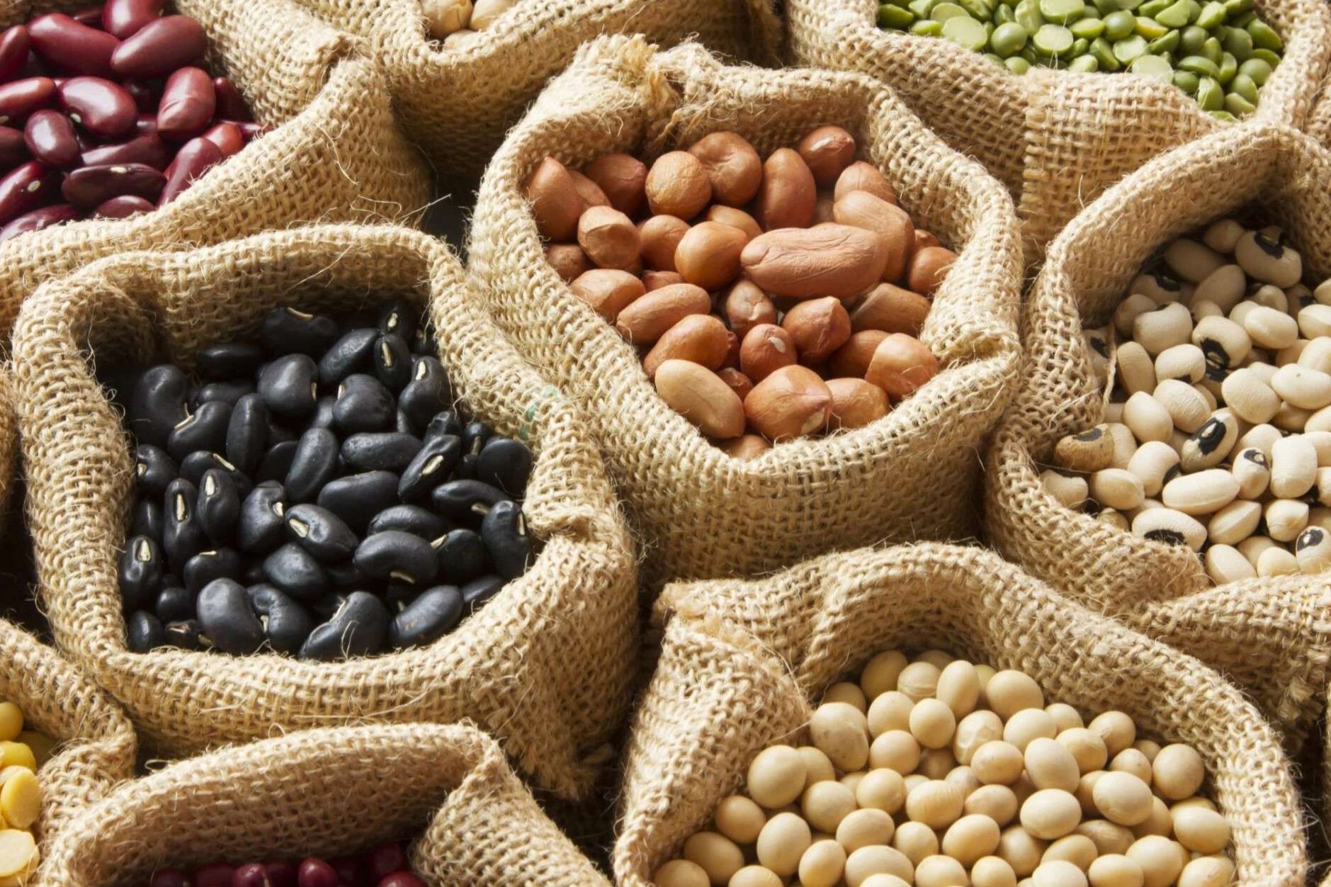 34 Fakta Tentang Kacang-kacangan