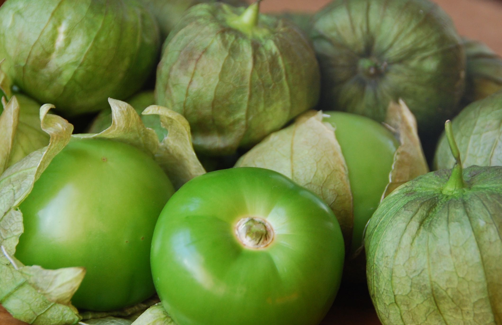 35 Fakta Tentang Tomatillo