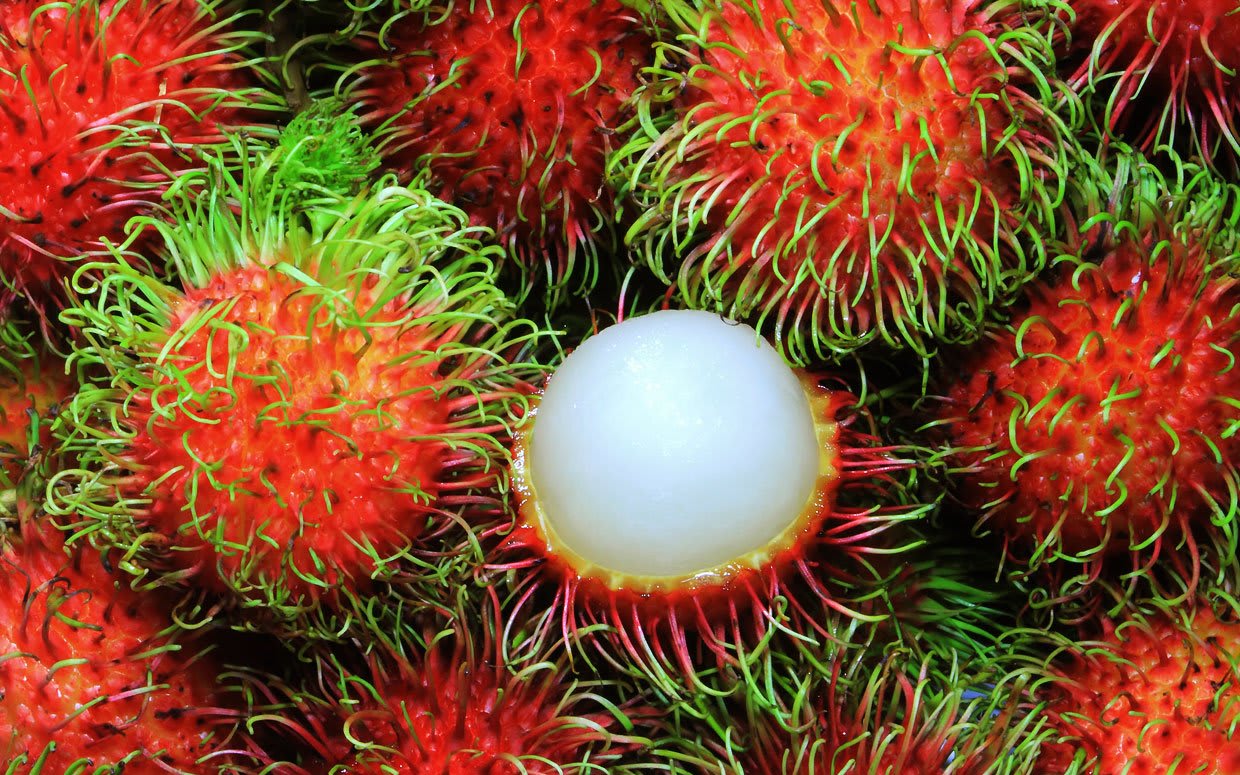 37 Fakta Tentang Rambutan